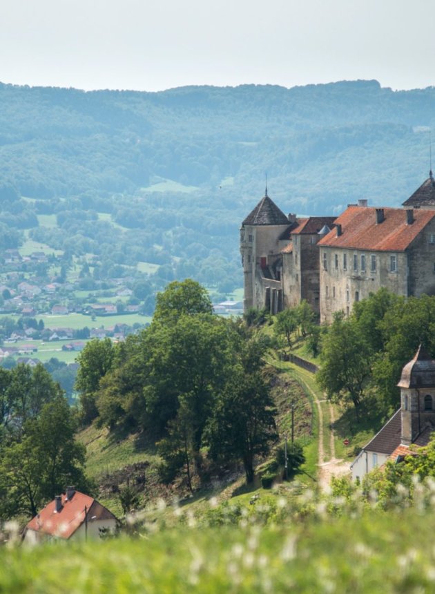 p14 - Vue sur le cha╠éteau de Belvoir - CCPSB